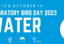 Giornata Mondiale degli Uccelli Migratori 2023