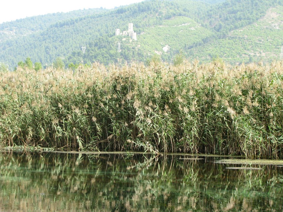 Riserva naturale regionale Sorgenti del Pescara