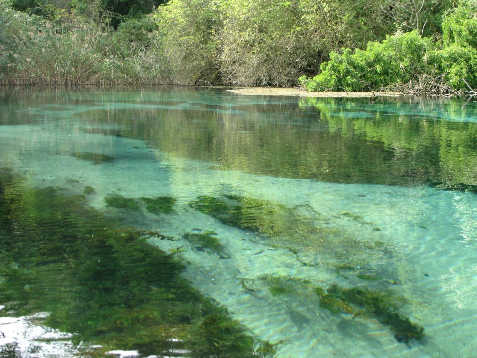 Riserva naturale regionale Sorgenti del Pescara