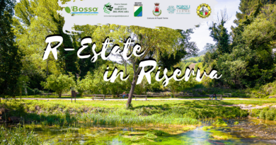 R-Esate in Riserva 2025
